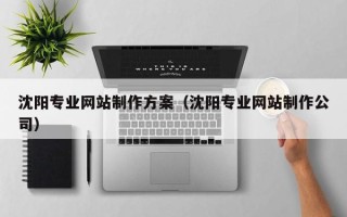 陕西沈阳专业网站制作方案（沈阳专业网站制作公司）